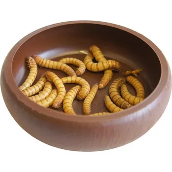 Happy Pet Products Ltd Miska terarijní plast na moučné červy Komodo 8x8x2cm