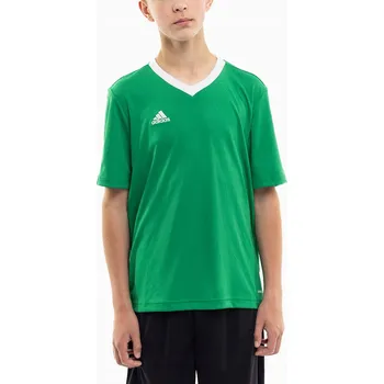 Adidas Dětské sportovní tričko Entrada 22 pro děti, velikost vel