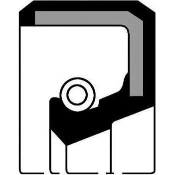 Těsnění motoru Těsnící kroužek hřídele, diferenciál PAYEN NF841