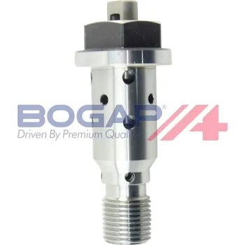 Ventil motoru Řídicí ventil, seřízení vačkového hřídele BOGAP C1340102