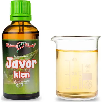 Doplněk stravy Bylinné kapky s.r.o. Javor klen - tinktura z pupenů (gemmoterapie) 50 ml | Bylinné kapky