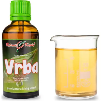 Doplněk stravy Bylinné kapky s.r.o. Vrba - tinktura z pupenů (gemmoterapie) 50 ml | Bylinné kapky