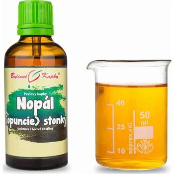 Doplněk stravy Bylinné kapky s.r.o. Nopál (opuncie) stonky - Pavlovy bylinné kapky (tinktura) 50 ml