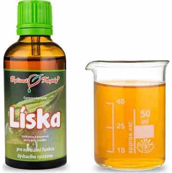 Zdraví Bylinné kapky s.r.o. Líska - tinktura z pupenů (gemmoterapie) 50 ml | Bylinné kapky