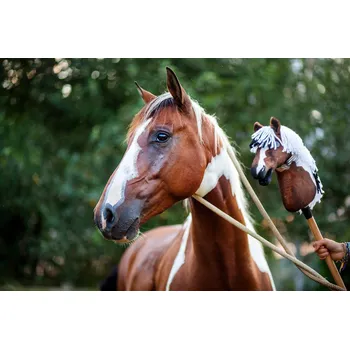 Hobby horsing Hobby Horse Koník podle fotografie Velikost: XS