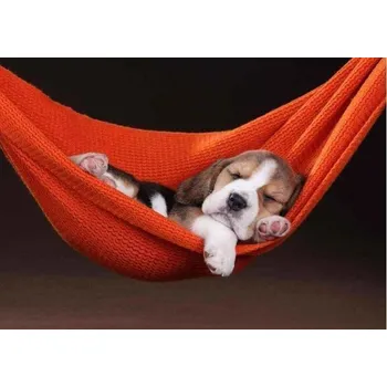 Pohlednice - Good sleeper