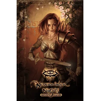 Počítačová hra Neverwinter Nights: Enhanced Edition (kod) PC