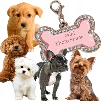 psí známka IDENTIFIKAČNÍ ŠTÍTEK ADRESÁŘ PŘÍVĚSEK PRO PSA NA OBOJEK FOTO ADRESA ZIRKONY