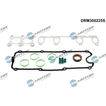 Těsnění motoru Sada těsnění hlavy válce Dr.Motor Automotive DRM300225S