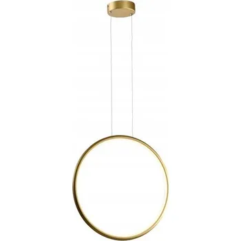 Závěsné svítidlo Reality Ragi 1 -bodové světlo s integrovaným LED zdrojem