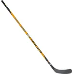 Bauer X Pastrňák S25 SR P P92 77