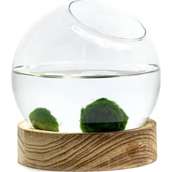 Akvaristika Gardners Skleněná koule Iris v dřevěném podstavci 13 cm + řasokoule 2 ks
