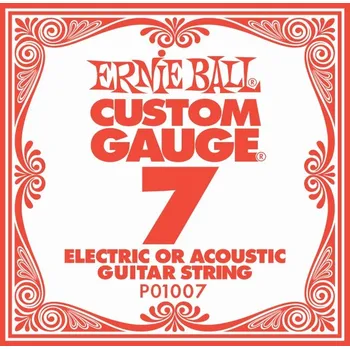 Hudebniny Ernie Ball .007 Plain Steel Guitar String + prodloužená záruka 3 roky