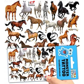 Odstranitelné tetování Filmová a herní nálepka na tetování Dětské vodní tetování Omyvatelné k narozeninám Dárek Dočasný dárek pro děti Originální opakovaně použitelné Spousta Vzorů