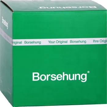 Brzdová hadice Borsehung B10946 Brzdová hadice