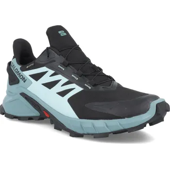 Dámská obuv Salomon Supercross 4 GTX W L41734200 - black trellis yucca 41 1/3
