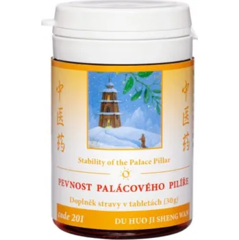 Přírodní produkt TCM Herbs PEVNOST PALÁCOVÉHO PILÍŘE (201) 100tablet