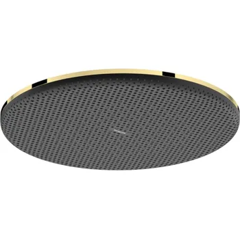 Hansgrohe Raindance Alive S - Hlavová sprcha, průměr 30 cm, EcoSmart+, leštěný vzhled zlata 24523990