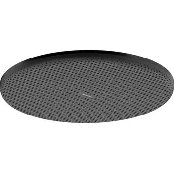 Sprchová hlavice Hansgrohe Raindance Alive S - Hlavová sprcha, průměr 30 cm, kartáčovaný černý chrom 24520340