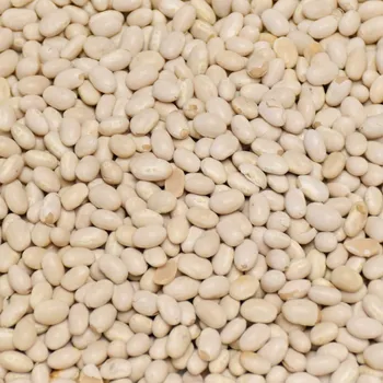 Luštěnina Život bez lepku Fazole malá bílá 500 g