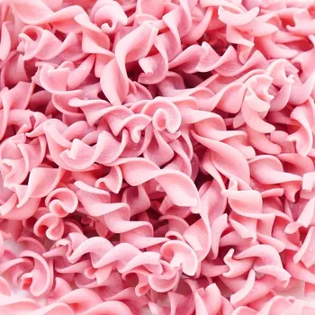 Příloha GuTiNi Gutini bezlepkové těstoviny malinové 1 kg