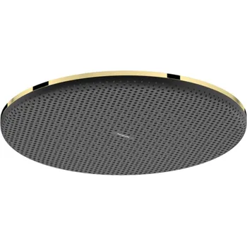 Sprchová hlavice Hansgrohe Raindance Alive S - Hlavová sprcha, průměr 30 cm, leštěný vzhled zlata 24520990