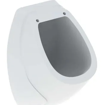 Pisoár Geberit Pisoáry - Pisoár, zadní přívod vody, bílá 239200000