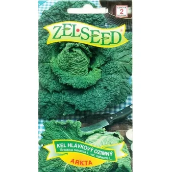 Semeno Kapusta hlávková Arkta (ozimá) 12/2025