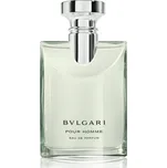 BVLGARI Pour Homme parfémovaná voda pro muže 100 ml