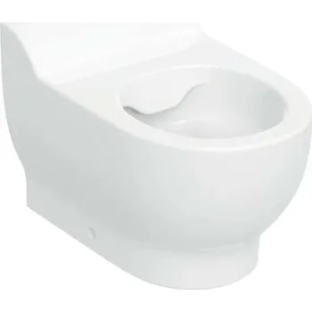 Klozet Geberit Bambini - Stojící WC, pro děti, Rimfree, bílá 502.966.00.2