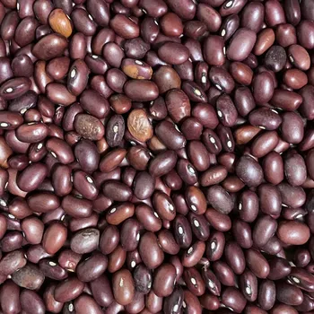 Luštěnina Život bez lepku Fazole malá barevná 1 kg