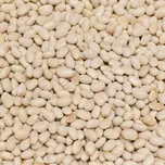 Život bez lepku Fazole malá bílá 5 kg