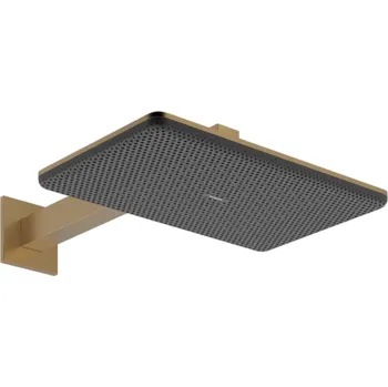 Sprchová hlavice Hansgrohe Raindance Alive Q - Hlavová sprcha, 21x34 cm, 2 proudy, kartáčovaný bronz 24550140