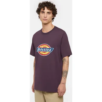 Oblečení a móda Dickies ICON LOGO TEE J56 Velikost: S