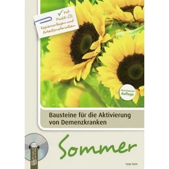 Sommer, m. Audio-CD u. CD-ROM - Stein, Tanja