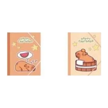 Set školních potřeb Teczka A5 4 gumką MIX