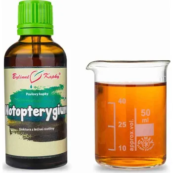 Doplněk stravy Bylinné kapky s.r.o. Notopterygium (TCM) - Pavlovy bylinné kapky (tinktura) 50 ml