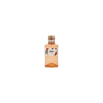 Gin Gordon`s Shimmer Berry 0,7L 20%