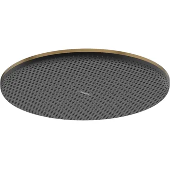 Sprchová hlavice Hansgrohe Raindance Alive S - Hlavová sprcha, průměr 30 cm, EcoSmart, kartáčovaný bronz 24521140