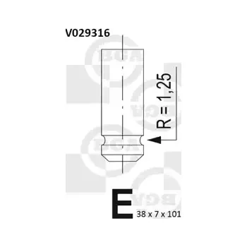 Rozvod motoru BGA Sací ventil BGA V029316