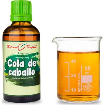 Doplněk stravy Bylinné kapky s.r.o. Cola de caballo - Pavlovy bylinné kapky (tinktura) 50 ml