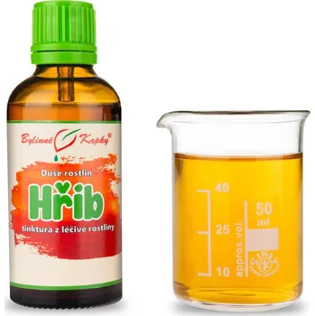 Doplněk stravy Bylinné kapky s.r.o. Hřib - kapky Duše rostlin (tinktura) 50 ml - Bylinné kapky
