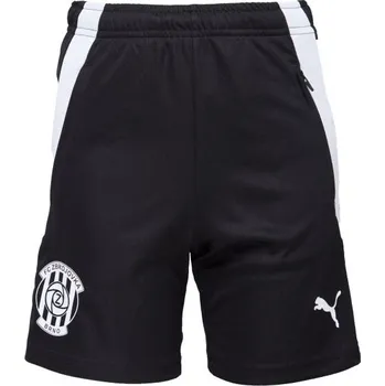 Chlapecké oblečení Dětské sportovní kraťasy Puma TEAMLIGA TRAINING SHORTS JR - ZBROJOVKA BRNO 140 Černá, Bílá