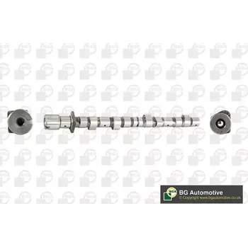 Vačková hřídel BGA Vačkový hřídel BGA CS6382