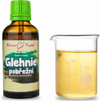 Doplněk stravy Bylinné kapky s.r.o. Glehnie pobřežní (TCM) - Pavlovy bylinné kapky (tinktura) 50 ml