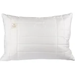 Every Ergovisco Tencel polštář zip+ 50 x 70 cm - výprodej z expozice Potah: Tencel, Rozměr: 50 x 70 cm