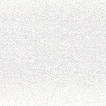 Stavebniny RAKO Color Two - Dlažba bílá 20x20, GAF1K023