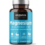 Organis Magnesium Bisglycinát + B6 60 tob.