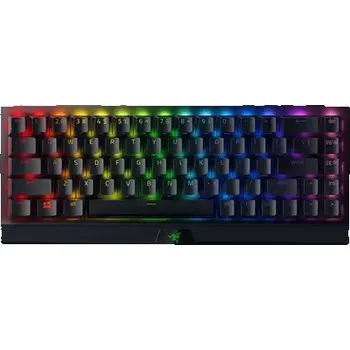Klávesnice Razer BlackWidow V3 Mini HyperSpeed černá (RZ03-03890600-R3N1)