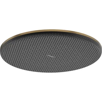 Sprchová hlavice Hansgrohe Raindance Alive S - Hlavová sprcha, průměr 30 cm, kartáčovaný bronz 24520140